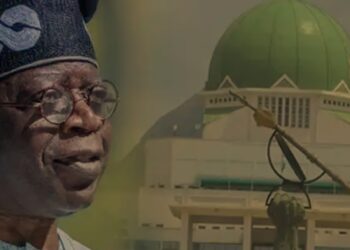 I Have No Preferred Candidates For Senate Presidency – Says Tinubu