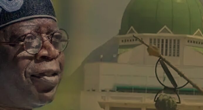 I Have No Preferred Candidates For Senate Presidency – Says Tinubu