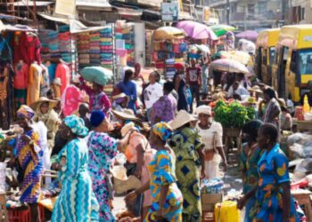 Service sector pushed Nigeria’s GDP growth to 2.54% in Q3 2023—Report