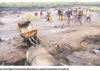 HYPREP Reassures Ogonis Of Commitment To Sustainable Ecosystem, Peace