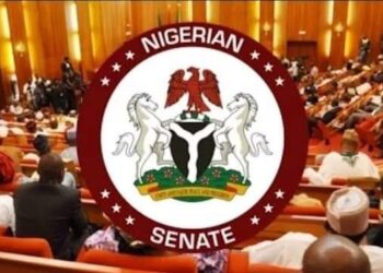 Senate To Revise Laws Of The Federation