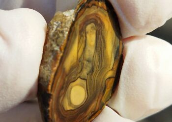 Divine Encounter: The Apparition Of The Virgin Mary And Jesus Christ On A Mysterious Stone