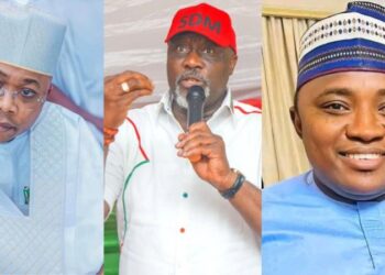 NEN Commends Neutrality of Security Personnel, Celebrates Transparent Off-cycle Election in Kogi, Imo, Bayelsa