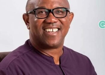 I’ll Contest Again, Peter Obi Tells Nigerian
