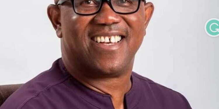 I’ll Contest Again, Peter Obi Tells Nigerian