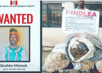 Breaking News: NDLEA Arrest Drug Lord Ibrahim Bendel After 7-Year Escape