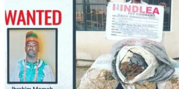 Breaking News: NDLEA Arrest Drug Lord Ibrahim Bendel After 7-Year Escape