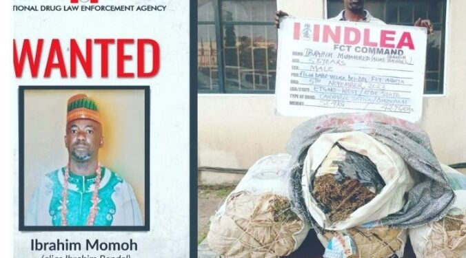 Breaking News: NDLEA Arrest Drug Lord Ibrahim Bendel After 7-Year Escape