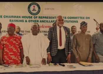 National Assembly To Collaborate With AMCON For Financial Stability In Nigeria – Eze