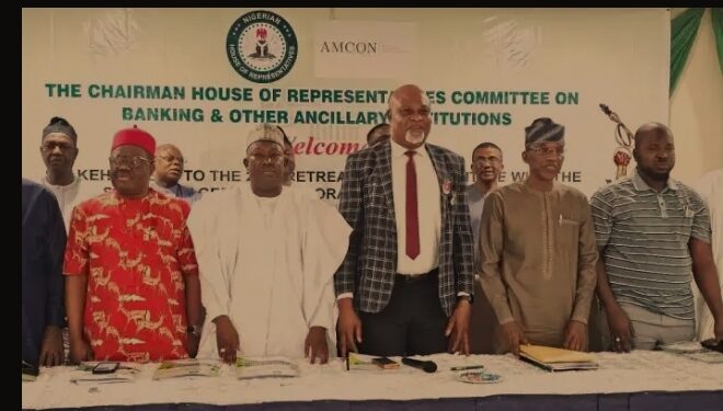 National Assembly To Collaborate With AMCON For Financial Stability In Nigeria – Eze
