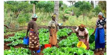 Women farmers wants government to address gender-based discrimination over land control