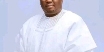 Power Goes Off As Power Minister Defends N344bn 2024 Budget Before Lawmakers