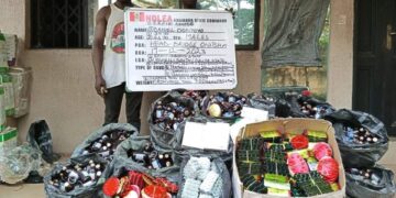 NDLEA Sniffer Dogs Uncover Cocaine In India-Bound Shipment