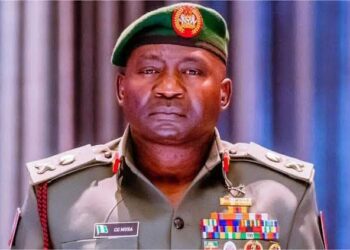 Insecurity: ‘We Should All Stay Back, Fight For Nigeria’ – Defence Chief