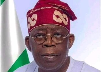 Plateau attacks: Group Urges Tinubu to Reintroduce Forest Guards