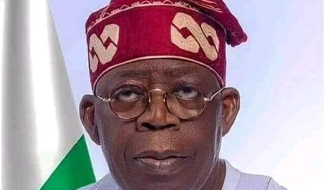 Plateau attacks: Group Urges Tinubu to Reintroduce Forest Guards