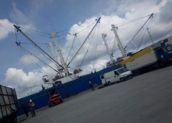 2024: Nigerian Ports Need New Economic Policy Reforms – Shipper