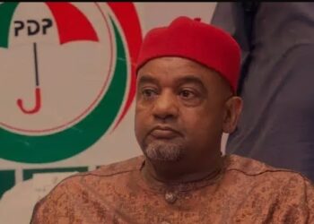 PDP Chairman Vows Action Against Anti-Party Activities