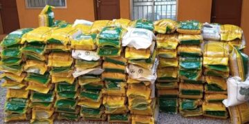 Christmas Celebration: Alia Possibility Network Distribute Rice, Flour To Benue Communities