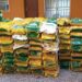 Christmas Celebration: Alia Possibility Network Distribute Rice, Flour To Benue Communities