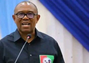2024: LP ‘ll adjust to new role as Nigeria’s main opposition party—Obi