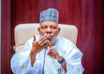 Shettima seeks enhance support for FG’s job creation, agric programmes