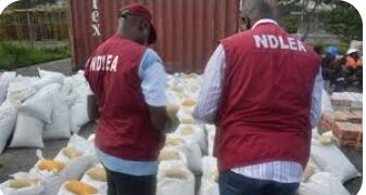 Oyo NDLEA Command Apprehends 417, Secures 54 Convictions