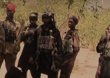 Military Neutralize Ba’a Shuwa, ISWAP Fighter