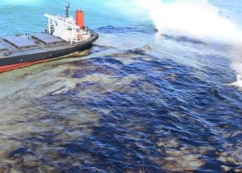 Bayelsa Community Raises Alarm Over Mysterious Oil Spill