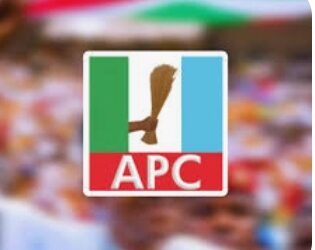 Borno LG Elections: APC Dominates 27 LGAs, 312 Wards