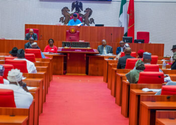 Senate probes N30trn Ways and Means obtained by Buhari administration from CBN