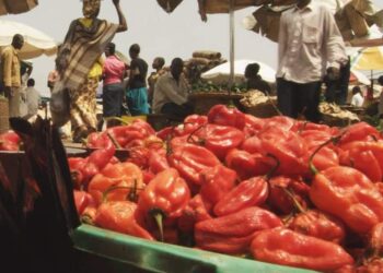 Food security: Stakeholders to implement gender policy on agriculture