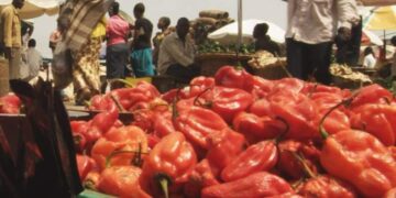 Food security: Stakeholders to implement gender policy on agriculture