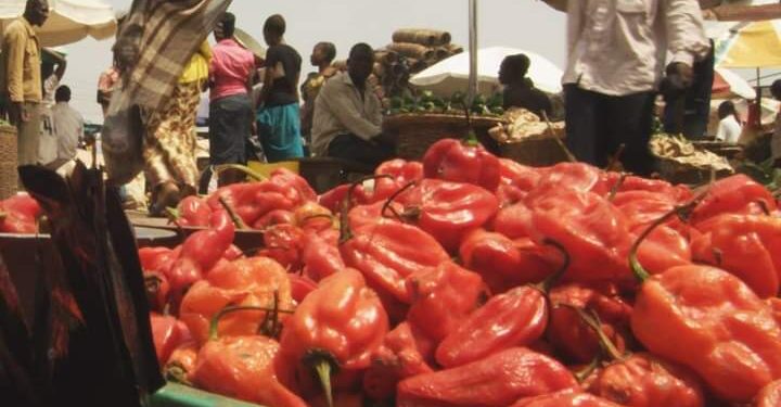 Food security: Stakeholders to implement gender policy on agriculture