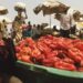 Food security: Stakeholders to implement gender policy on agriculture