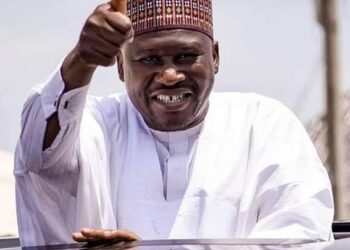 Take advantage of L-PRES project – Fintiri advises animal breeders