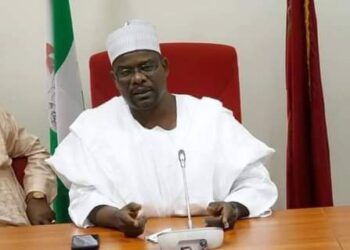 5 Of My Grandchildren Are Yoruba, Sen Ndume Tells Ethnic Jingoists