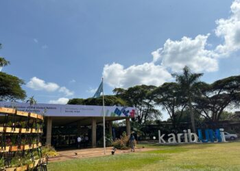 Africa: OCP Champions Soil Health at UN