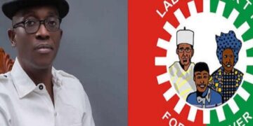 We’re working to bring peace to Labour Party in Lagos —Chairperson