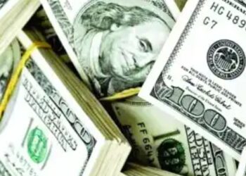 Forex  Crisis: Governors Converting Monthly Allocations To Dollars, Rights Activist Alleges