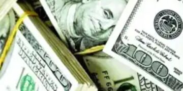 Forex  Crisis: Governors Converting Monthly Allocations To Dollars, Rights Activist Alleges