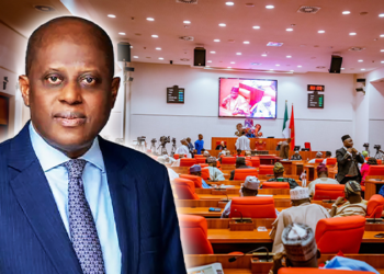 In New CBN Law, Senate  Pegs 6 Years-single Term For Governor