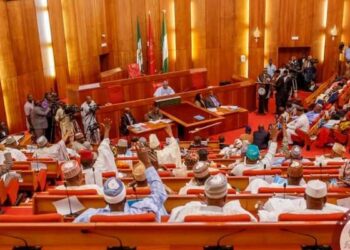 Rowdy Sessions in Senate Over Allegations of N3.7 Trillion Budget Padding