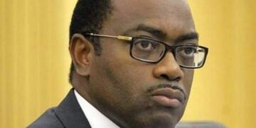 Obafemi Awolowo Foundation Honours AfDB President