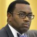 Obafemi Awolowo Foundation Honours AfDB President
