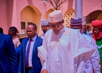 CBN: EFCC Should Go After, Audit All Buhari’s Appointees – Human Rights Lawyer