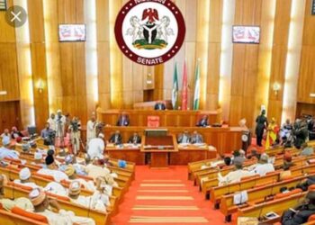 Senate tasks committee on thorough investigation of N30trn “Ways and Means” funds