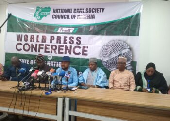 Lagos Rice Stampede: Civil Society Council Exonerates Nigeria Customs Service