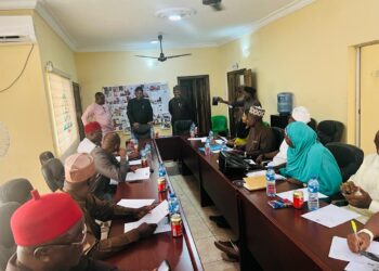 Haske Satumari Foundation, IPAC Meets Over Electoral Reforms