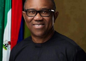 Peter Obi Exits Kaduna Labour Party WhatsApp Group Amidst Speculations